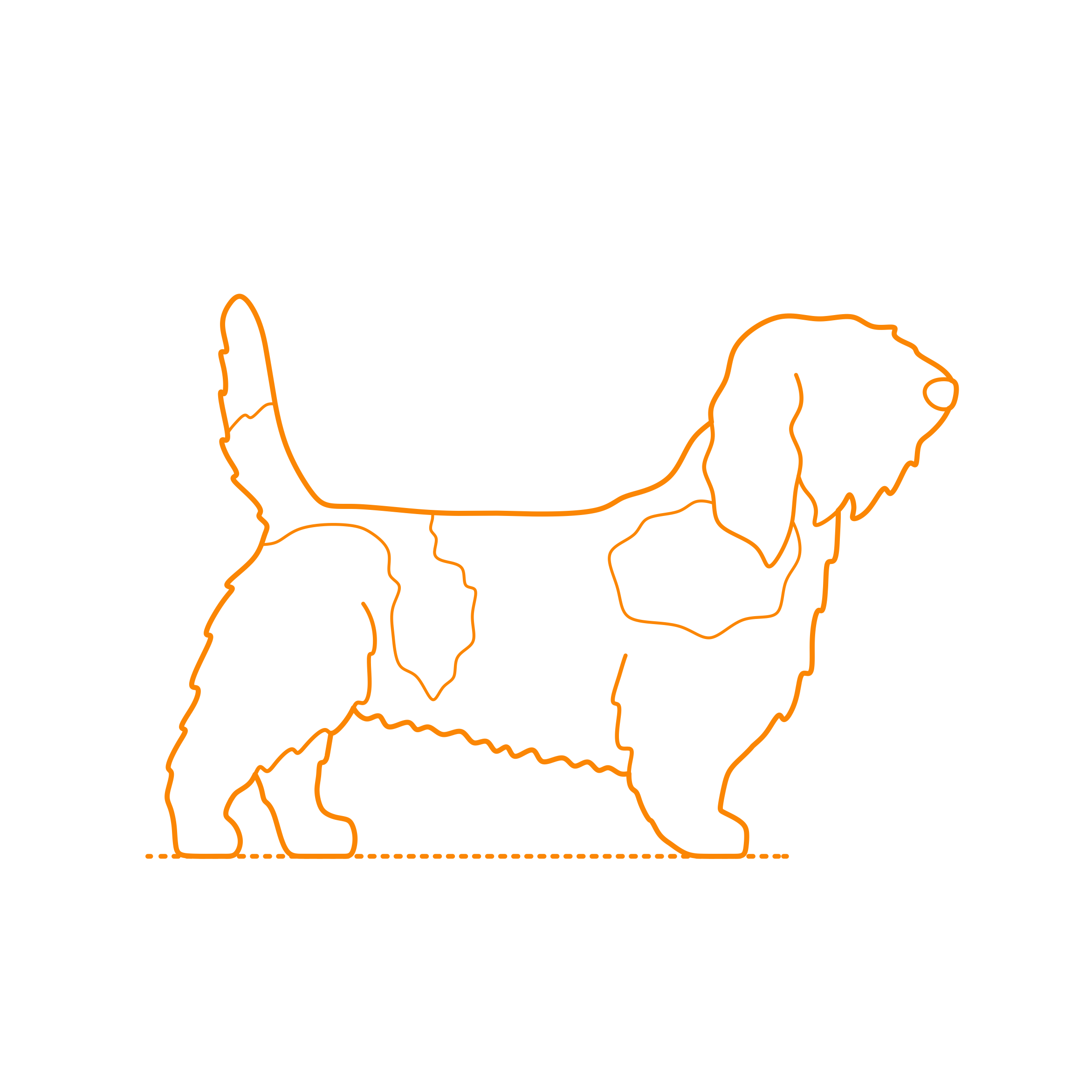 Animals Dogs Petit Bassett Griffon Vendeen Pbgv Stencil Svg Design File Free Vectors